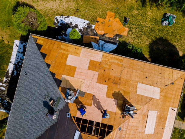 Best Roof Gutter Cleaning  in Mckenzie, TN
