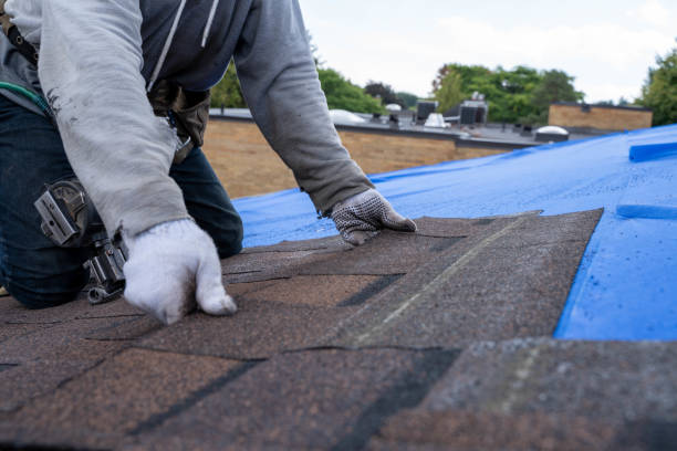 Best Roof Waterproofing Services  in Mckenzie, TN