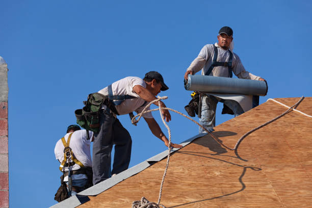 Best New Roof Installation  in Mckenzie, TN