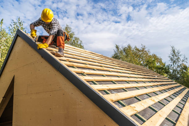 Best Local Roofing Companies  in Mckenzie, TN