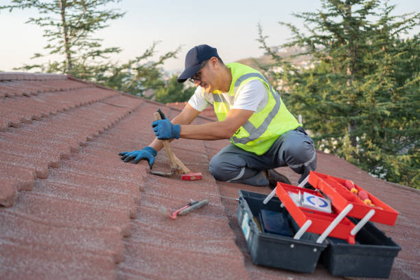Roof Repair Estimates in Mckenzie, TN