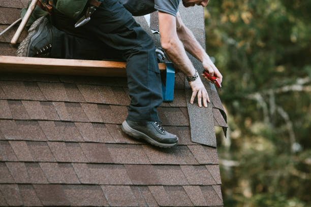 Best Metal Roofing Contractor  in Mckenzie, TN