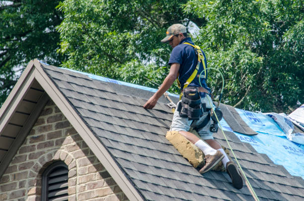 Quick and Trustworthy Emergency Roof Repair Services in Mckenzie, TN